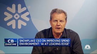 Snowflake CEO AI is not going to be cheap there needs to be a business model associated with it [upl. by Alah]