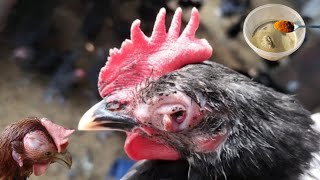 Chicken Eyes Disorders Cause Prevention Care and Organic TREATMENT  Dr ARSHAD [upl. by Eadie]