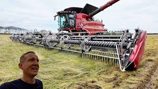 Høsten 2024  Case IH 9260 AxialFlow amp 50 fods MacDon Skærebord i frøgræsset  Dansk Høst 2023 [upl. by Marnie]