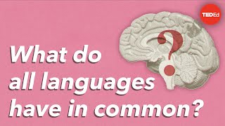 What do all languages have in common  Cameron Morin [upl. by Raynata]