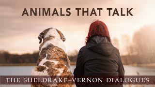 Animals That Talk SheldrakeVernon Dialogue 66 [upl. by Atoiganap]