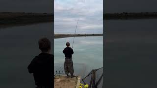 Will Cosmo land it fishing shortsfeed fishingshorts fishingvideo carp carpfishing [upl. by Ginder107]