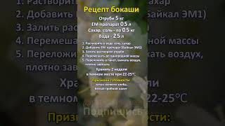 Как приготовить БОКАШИ своими руками РЕЦЕПТ бокаши Дачный агроном [upl. by Danieu32]