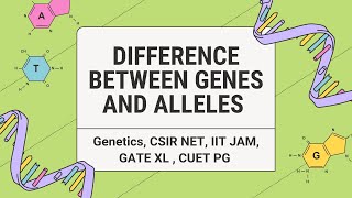 Difference between Genes and Alleles csirnet iit jam  gate  CUET PG Genetics Genes Alleles [upl. by Aropizt297]