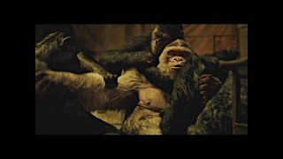 War for the planet of Apes in English Full HD [upl. by Cirillo]