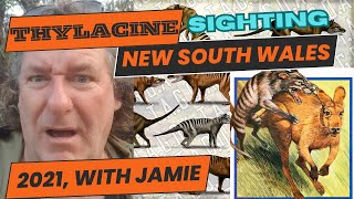 Thylacine sighting with Jamie Mt George New South Wales 2021 [upl. by Kramnhoj]