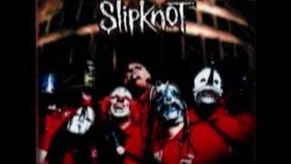 Slipknot Indiana Live show Album [upl. by Verner194]