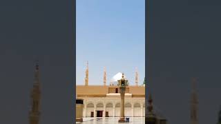 Madina O Madinaislamicvideo Viral naat  viralshortvideo [upl. by Judie]