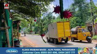 ഇത്രയും വലിയ ഡ്രാഗൺ പഴത്തോട്ടം മ്മളെ വളാഞ്ചേരിയിലോ ഫലവൃക്ഷ കൃഷിയിൽവിജയം കൊയ്ത് അബ്ദുൽ റഷീദ് [upl. by Fredela962]