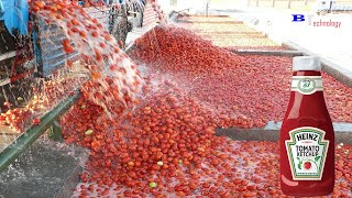 How Tomato Ketchup Is Made Tomato Harvesting And Processing Process With Modern Technology [upl. by Island]