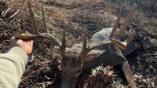 Ohio Public Land Archery Buck 2024 [upl. by Assen]