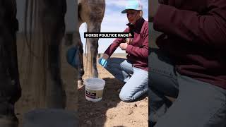 Horse poultice hack [upl. by Aneram981]