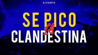 •🔥 SE PICO LA CLANDESTINA 3 🔥•  ALTA JODA  FIESTA 2021  LO MEJOR   DJ Cu3rvo [upl. by Alek533]