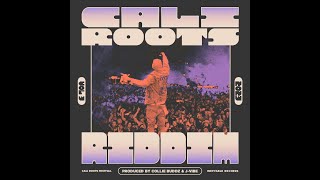 Collie Buddz  Cali Roots Riddim 2023 Full Album [upl. by Erlewine]