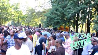 FORT GREENE BROOKLYN SOUL SUMMIT MUSIC 8 25 13 [upl. by Yelnek546]