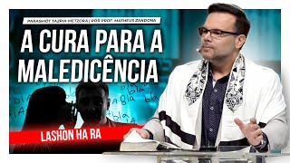 A Cura para a Maledicência — TazriaMetzorá 2023 — Matheus Zandona [upl. by Dubenko]