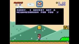 Super Mario Flash 2 custom Level quotNSMB DS W11quot [upl. by Peale]