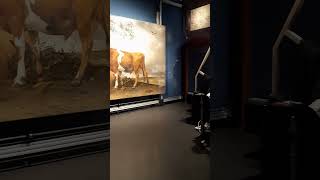 SHORTS Painting research in the Mauritshuis museum [upl. by Cordova]