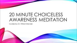 20m Guided Choiceless Awareness Meditation with Dr William Brendel [upl. by Kennan662]