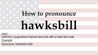 How to pronounce hawksbill  meaning [upl. by Esilahs386]