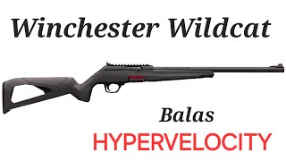 Winchester Wildcat con Balas de Alta Velocidad [upl. by Jackson664]