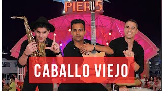 Caballo Viejo  Monta Mi Caballo Cover  Latin Time  Live [upl. by Rybma]