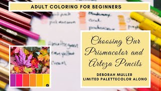 Choosing Our Prismacolor Pencils and Arteza Pencils  Deborah Muller Limited Palette Color Along [upl. by Brandice]