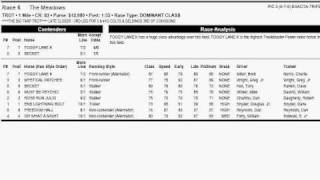 FAST Harness Handicapping  Running StylesRace Types [upl. by Ayor]