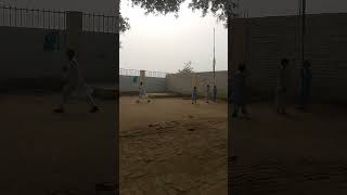 Cricket short video viral [upl. by Cottrell853]