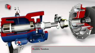 Salvatore Robuschi Mechanical Seal Arrangement [upl. by Aniaj]