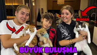 CİROYU KEDİLERİMİZLE BULUŞTURDUK  BÜYÜK BULUŞMA [upl. by Freud313]