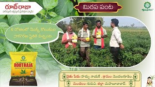 Rootraja Testimonial  మిరప పంటలో రూట్ రాజా వాడిన రైతుల స్పందన [upl. by Wonacott384]