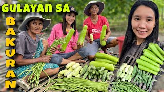 EP490  Simpleng Gulayan sa bakuran harvest and sell  Buhay Probinsya [upl. by Inat44]