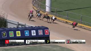 Gawler09102024Race8 [upl. by Inaniel]