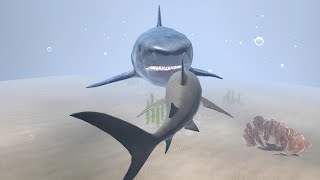 Great White Shark Vs All Boss  Ultimate Shark Simulator By Gluten Free Games [upl. by Chapman]