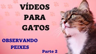 Jogo para GATOS  Observando PEIXES 2 [upl. by Sosanna436]