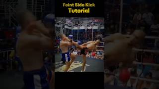 Feint Side Kick Tutorial ll Combo kick tutorial shorts martialarts fighting taekwondo usa [upl. by Neetsirhc]