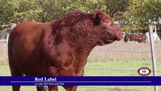 Red Label [upl. by April]