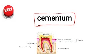 cementum [upl. by Idell]