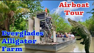 Airboat Tour  Everglades Alligator Farm in Homestead Florida USA [upl. by Nollid298]