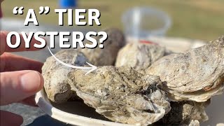 Everything I Ate at the US Oyster Festival [upl. by Nahtaoj]