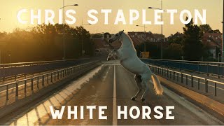 Chris Stapleton  White Horse Unofficial Music Video [upl. by Sibie812]