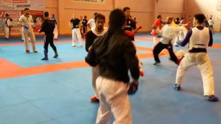 Martial Arts  Rafael Aghayev 5 th international Training [upl. by Mellisa]