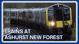 TRAINS at ASHURST NEW FOREST railway station [upl. by Gabby]