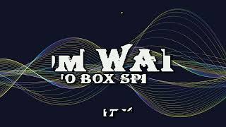 Tom Waits karaoke  Filipino Box Spring Hog [upl. by Snowber411]