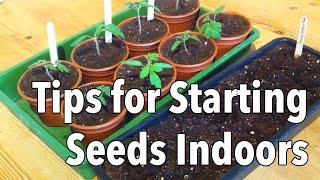 Top Tips for Starting Seeds Indoors [upl. by Macdonell]