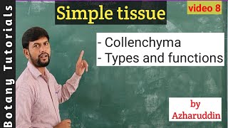 Simple tissue  Collenchyma  Structure types amp functions [upl. by Amapuna338]