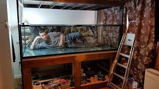 1400L Aquarium 7x4x2ft setting up [upl. by Harry]