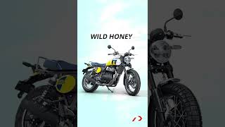 The Royal Enfield Interceptor Bear 650 gets 5 colour options Which one would you like Shorts [upl. by Trini310]