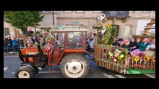 Erntedankfestzug Fürth Full Parade [upl. by Graig749]